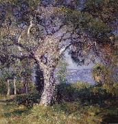 Guy Rose The Oak oil painting artist